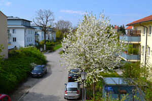 Aussicht vom Westbalkon - 1-Zimmer-Wohnung mit sonnigem Westbalkon