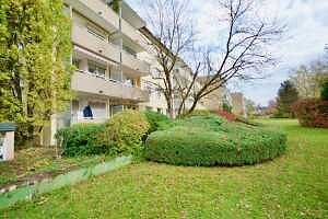 Blick in den Garten