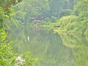 Waldsee in Zehlendorf