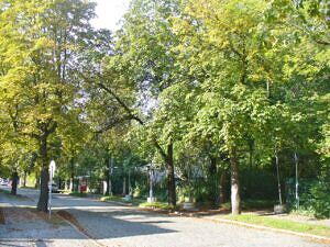 Niklasstraße in Zehlendorf